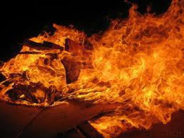 Новина Рятувальники остерігаються лісових пожеж на Кіровоградщині Ранкове місто. Кропивницький