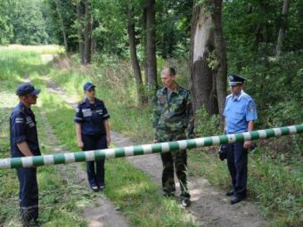 Новина У Долинському районі рятувальники проводять рейди у лісах Ранкове місто. Кропивницький