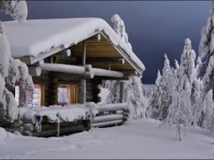 Новина Пойман светловодский вор-«дачник» Ранкове місто. Кропивницький