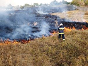 Новина Кіровоградська область: рятувальники ліквідували 8 пожеж сухої трави на відкритих територіях Ранкове місто. Кропивницький
