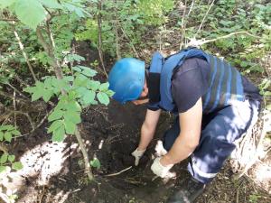 Новина На Знам’янщині знайшли артилерійські снаряди часів Другої світової війни (ФОТО) Ранкове місто. Кропивницький