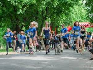 Новина Кропивничан запрошують на Олімпійський пробіг Ранкове місто. Кропивницький