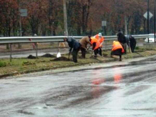 Новина Раніше в дощ асфальтували,а нині ще й озеленяють Ранкове місто. Кропивницький