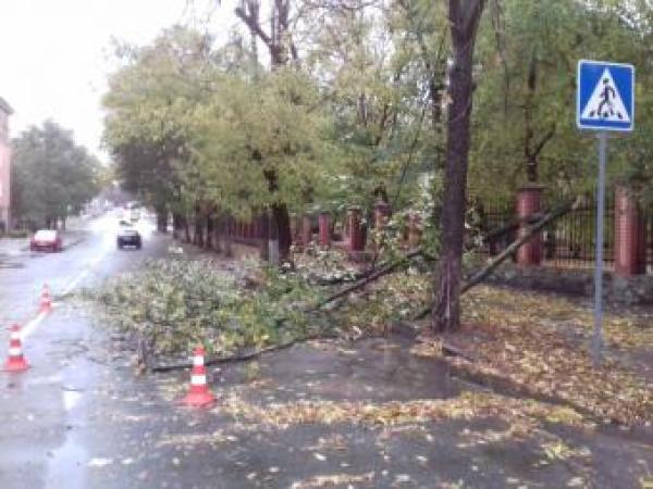 Новина У Кіровоградській області протягом доби рятувальники розпиляли та прибрали п’ять дерев Ранкове місто. Кропивницький