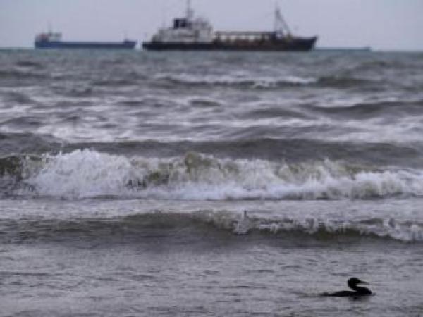 Новина Источником холеры в Азовском море могли быть иностранные суда Ранкове місто. Кропивницький