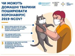 Новина Чи можуть домашні тварини поширювати коронавірус? Ранкове місто. Кропивницький