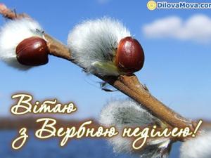 Новина Що таке Вербна неділя? Ранкове місто. Кропивницький