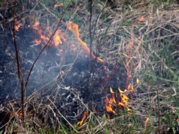 Новина В Севастополе загорелся ресторан Ранкове місто. Кропивницький