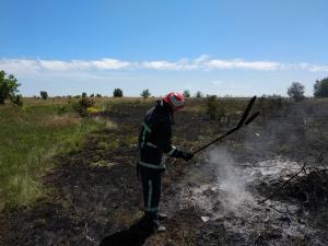 Новина На Кіровоградщині через сухе повітря загоряється суха рослинність Ранкове місто. Кропивницький