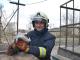 Рятувальники Кропивницького привели до тями морську свинку на пожежі