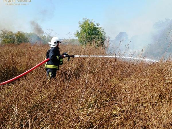 Новина За добу вогнеборці загасили 22 пожежі в екосистемі Ранкове місто. Кропивницький