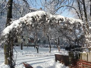 Новина Погода у Кропивницькому сьогодні Ранкове місто. Кропивницький