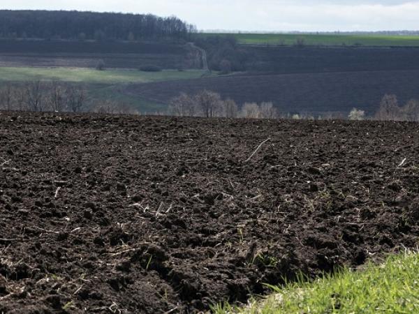 Новина Голова ОТГ та депутат по підробним документам передали у власність земельні ділянки Ранкове місто. Кропивницький