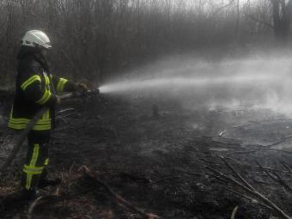 Новина На Кіровоградщині почастішали пожежі Ранкове місто. Кропивницький