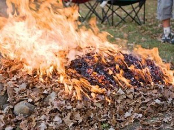 Новина Опале листя слід везти на кропивницький полігон, а не спалювати Ранкове місто. Кропивницький