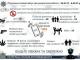 Патрульна поліція Кропивницького звітує за минулий тиждень (інфографіка)