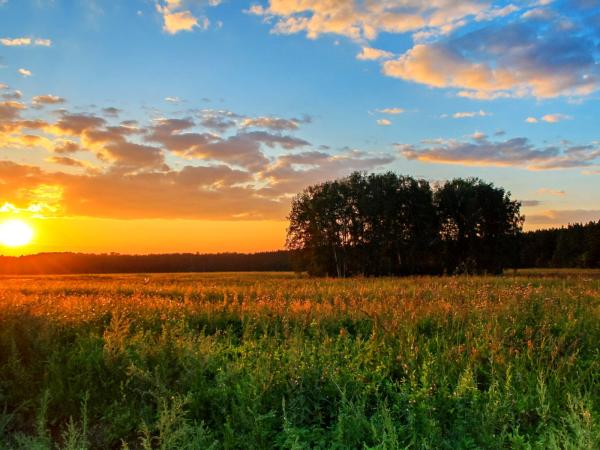 Новина Погода на 12 серпня Ранкове місто. Кропивницький