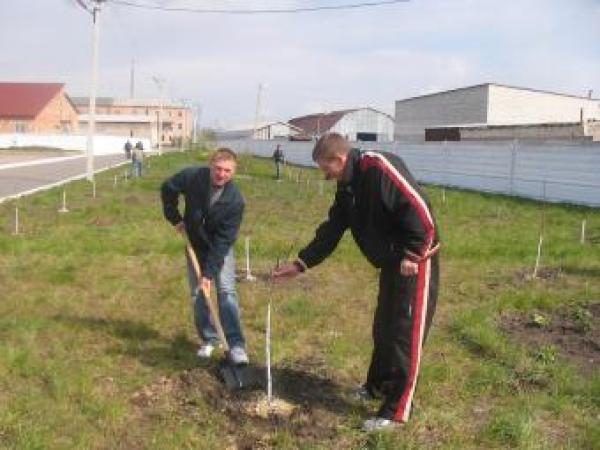 Новина У работников ГАИ тоже начался месячник по благоустройству Ранкове місто. Кропивницький