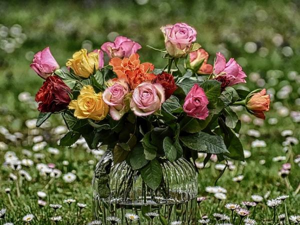 Новина Лайфхак від Flowers.ua: секрети вибору квітів для коханих Ранкове місто. Кропивницький