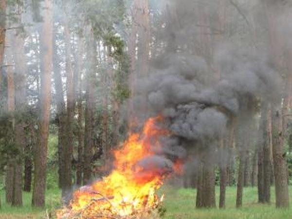 Новина Кировоградские лесники остро нуждаются в приобретении пожарных модулей Ранкове місто. Кропивницький