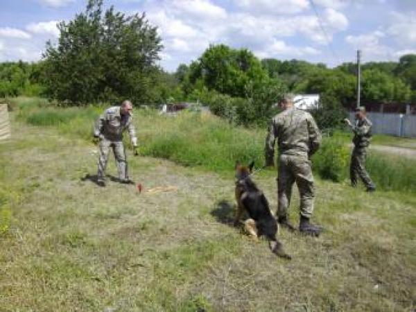 Новина Тюремні кінологи зібралися на збори у колонії №6 Ранкове місто. Кропивницький