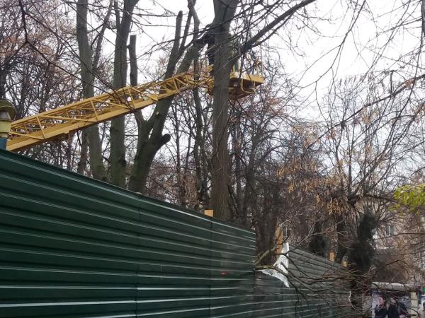 Новина У Центральному сквері почали спилювати дерева (ФОТО) Ранкове місто. Кропивницький