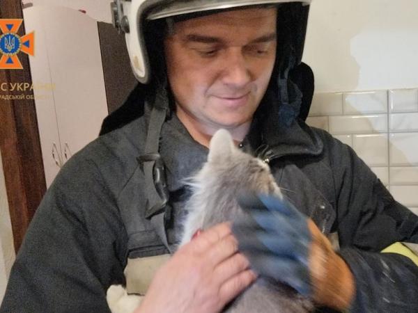 Новина Знам’янські рятувальники врятували кота, що застряг у вентиляційній шахті Ранкове місто. Кропивницький