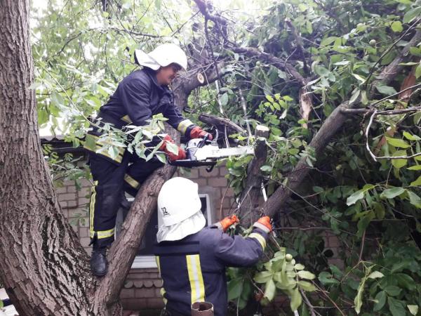 Новина Кіровоградська область: рятувальники двічі залучались до розпилювання дерев Ранкове місто. Кропивницький