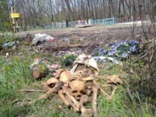 Новина Донецкое кладбище постепенно очищают от старых могил…для новых Ранкове місто. Кропивницький