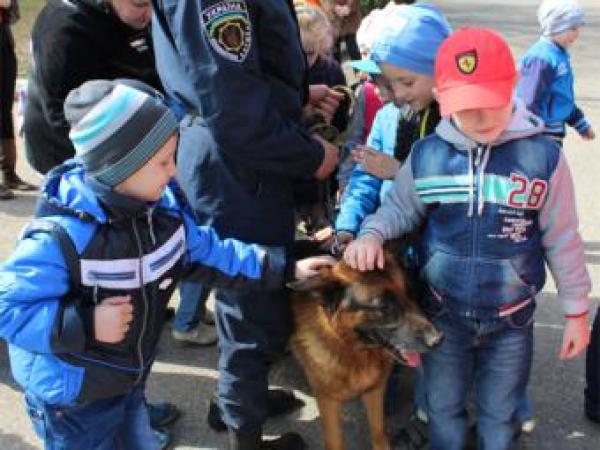 Новина Малюки та собаки шукали спільну мову Ранкове місто. Кропивницький