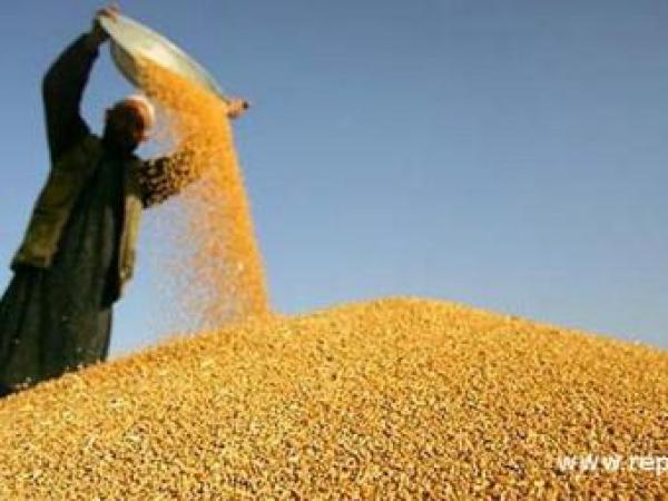 Новина 11 млн. гривен заработали преступники на незаконной продаже зерна в Донецке Ранкове місто. Кропивницький