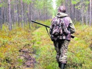 Новина Який мисливський фонд на Кіровоградщині? Ранкове місто. Кропивницький