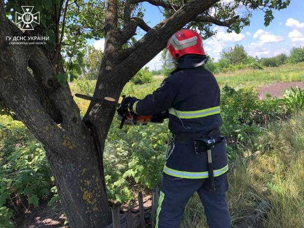 Новина В Кропивницькому й області рятувальники спилюють повалені дерева Ранкове місто. Кропивницький