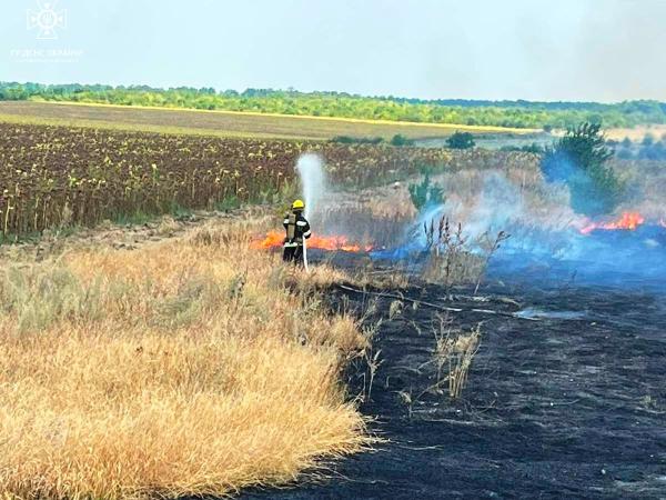 Новина Рятувальники ліквідували 14 пожеж сухої трави та сміття Ранкове місто. Кропивницький