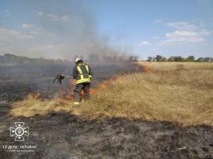 Новина Кіровоградська область: рятувальники ліквідували 18 пожеж на відкритій місцевості Ранкове місто. Кропивницький