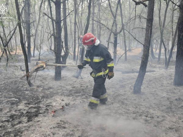 Новина На Кіровоградщині рятувальники загасили займання на території лісового масиву Ранкове місто. Кропивницький