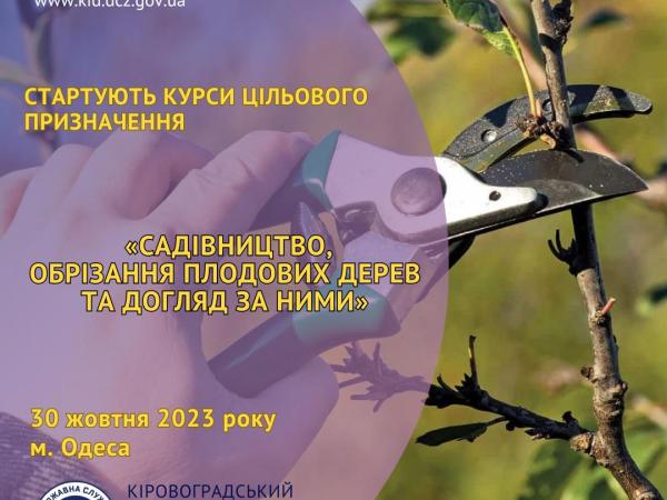 Новина Обрізання плодових дерев та догляд за ними: усе про садівництво на курсах Ранкове місто. Кропивницький