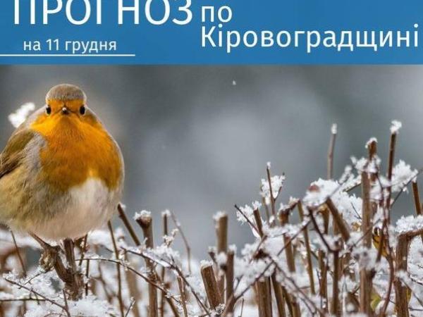 Новина Прогноз погоди на 11 грудня по Кіровоградщині Ранкове місто. Кропивницький