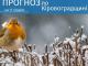 Прогноз погоди на 11 грудня по Кіровоградщині