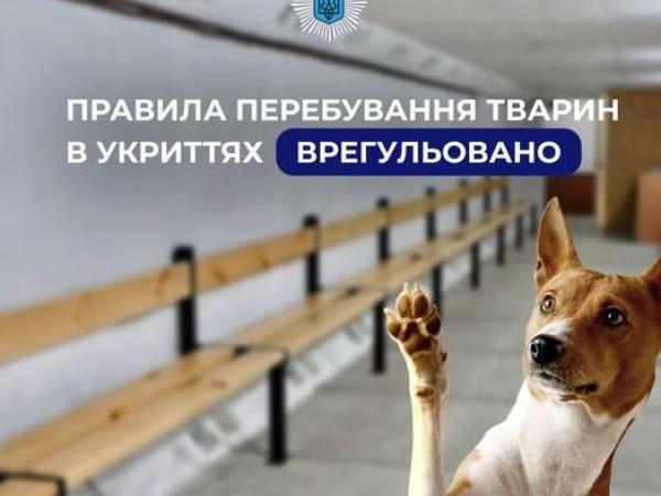 Новина Врегулювали питання перебування домашніх тварин в укриттях Ранкове місто. Кропивницький