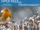 Прогноз погоди на 30 січня по Кіровоградщині.