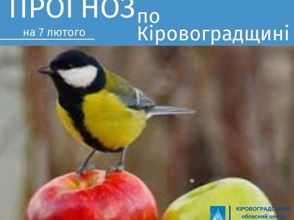 Новина Прогноз погоди на 7 лютого по Кіровоградщині Ранкове місто. Кропивницький