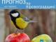 Прогноз погоди на 7 лютого по Кіровоградщині