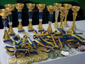 Новина В Олександрії відбувся чемпіонат пам’яті «Янголів спорту» Ранкове місто. Кропивницький