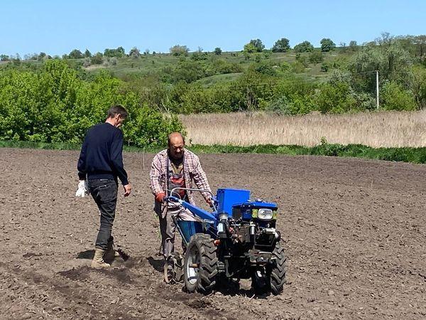 Новина У Попельнастівській громаді вирощують продукти для військових Ранкове місто. Кропивницький