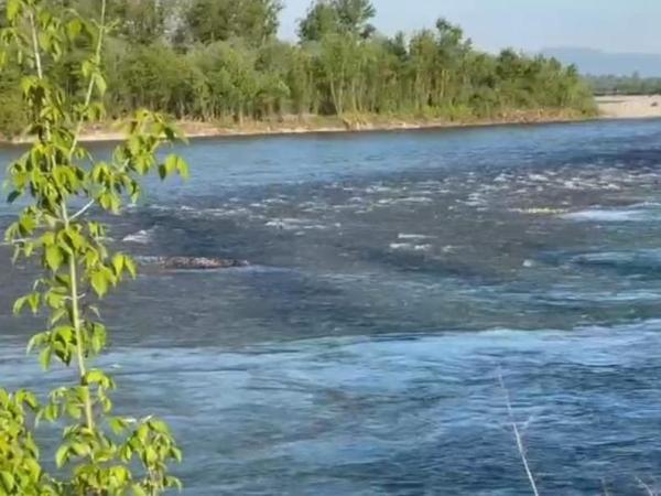 Новина На березі річки Тиса знову виявили тіло людини Ранкове місто. Кропивницький