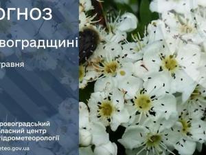 Новина Прогноз погоди на 12 травня по Кіровоградщині Ранкове місто. Кропивницький