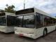 Додаткові великомісткі автобуси дозволять вирішити проблему пасажирських перевезень у Кропивницькому в години пік