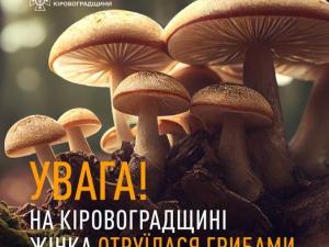 Новина На Кіровоградщині жінка отруїлася грибами Ранкове місто. Кропивницький