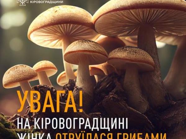 Новина На Кіровоградщині жінка отруїлася грибами Ранкове місто. Кропивницький